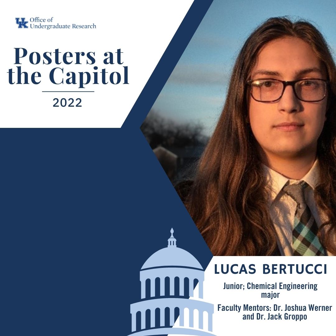 p@c 2022 Lucas Bertucci