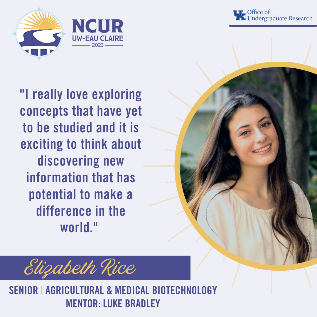 Elizabeth Rice NCUR 2023 Spotlight