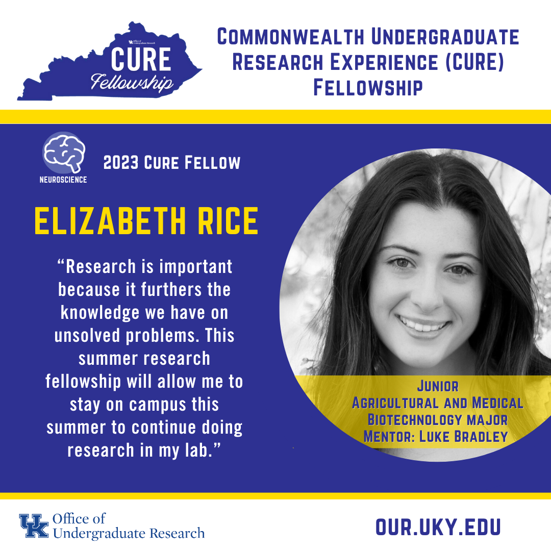 Elizabeth Rice 2023 CURE Fellow