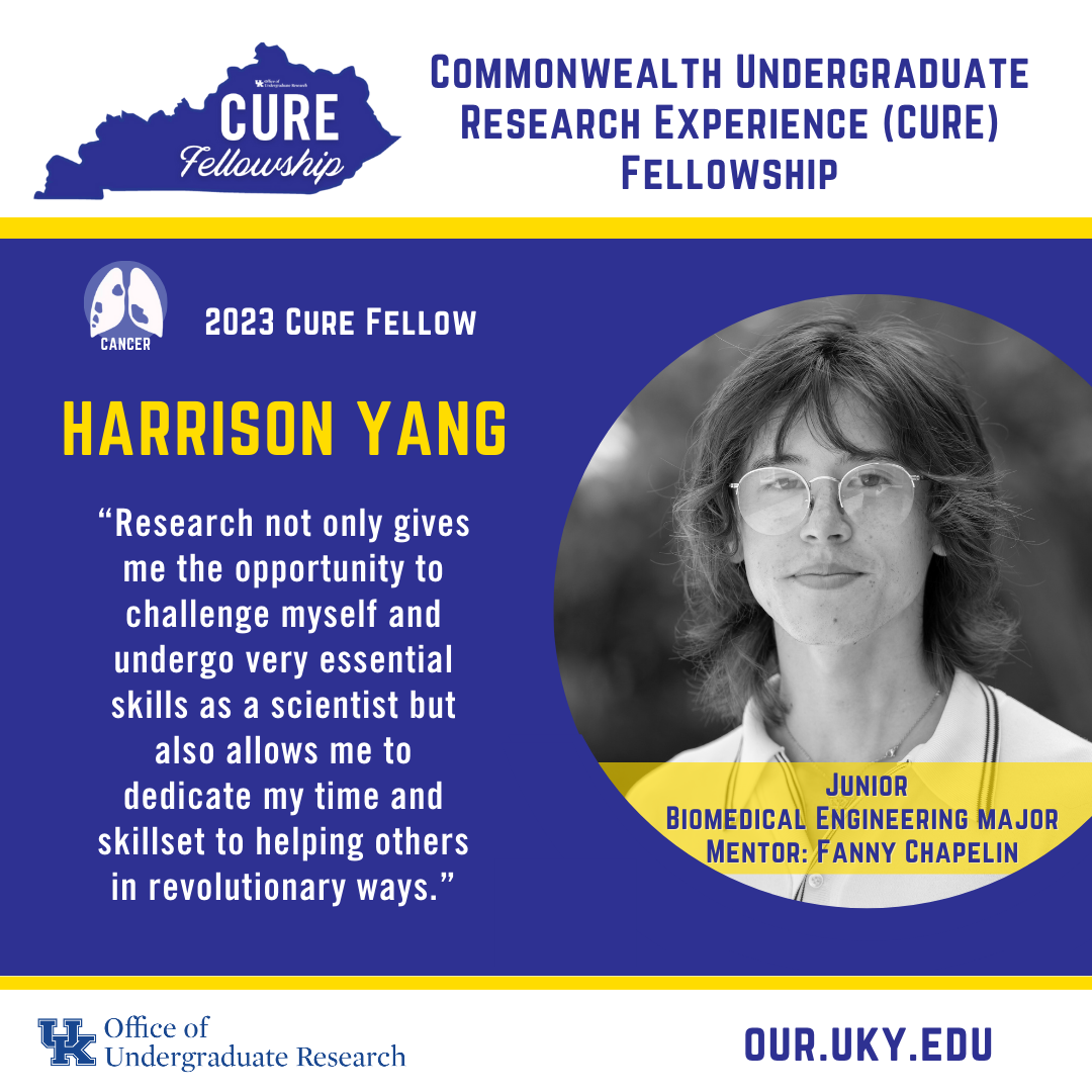 Harrison Yang 2023 CURE Fellow