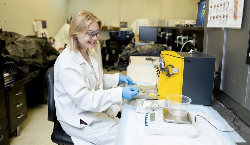 Molly Lobel in Tayo Adedokun's poultry lab