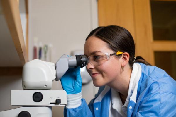 UK undergraduate Hollie Clifton is gaining hands-on research experience in the lab in UK's STEPS summer research program. 