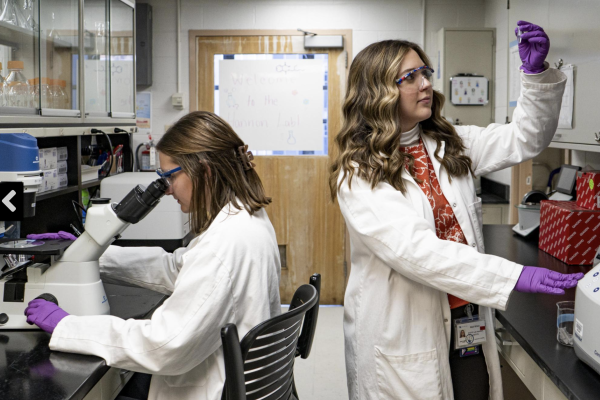 Caroline Harper and Madi Wilson, seniors in agricultural and medical biotechnology and human health sciences, pose for portraits in their lab on Friday, Feb. 28, 2025, at the Peter Bosomworth Health Sciences Research Building in Lexington, Kentucky