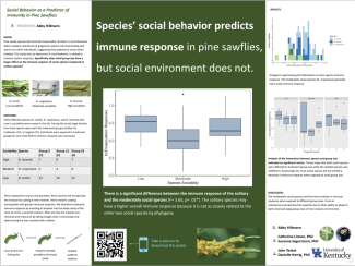 Student Research Poster Example 3
