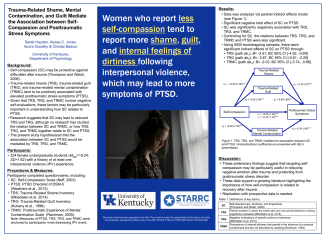 Student Research Poster Example 4