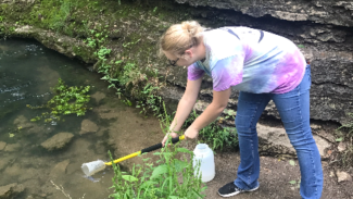 SRG 2017 undergraduate environment research