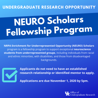 NEURO Scholars Fellowship program