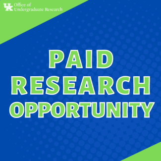 paid research opportunity