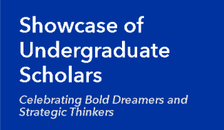 showcase website