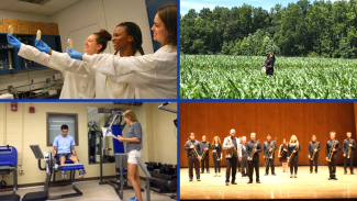 Undergraduate Research Collage3