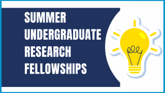 Summer Research Fellowships student