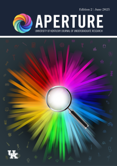 Edition 2 - June 2025