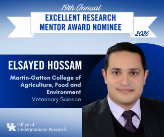 Elsayed Hossam