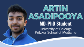 artin asadipooya