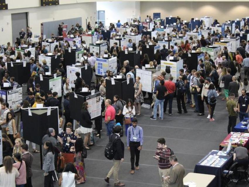NCUR 2019