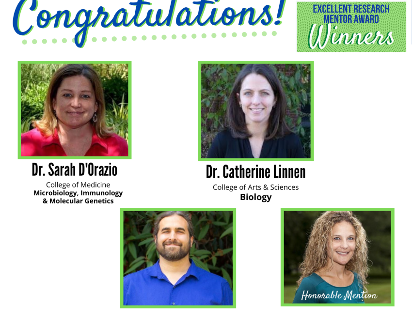 Faculty Mentors of the Year award winners 2020