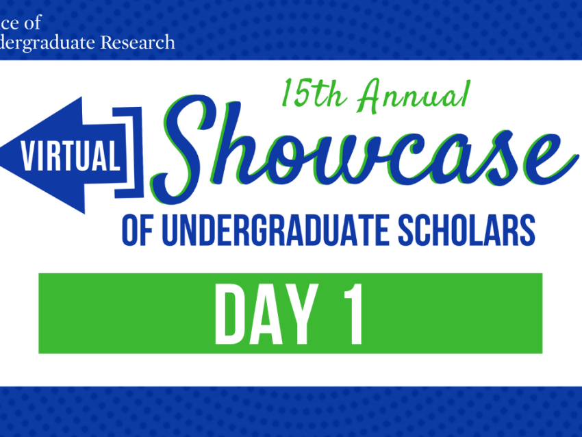 Virtual Showcase Day 1