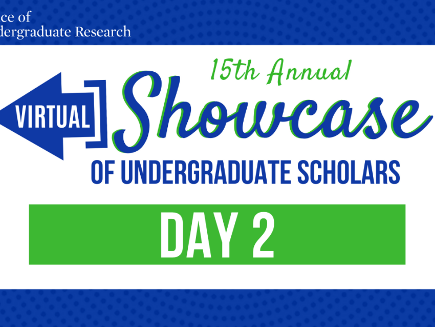 VIrtual Showcase Day 2