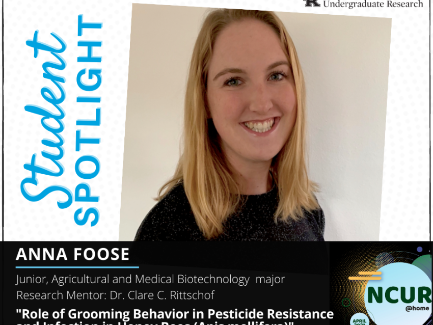 Anna Foose NCUR Spotlight