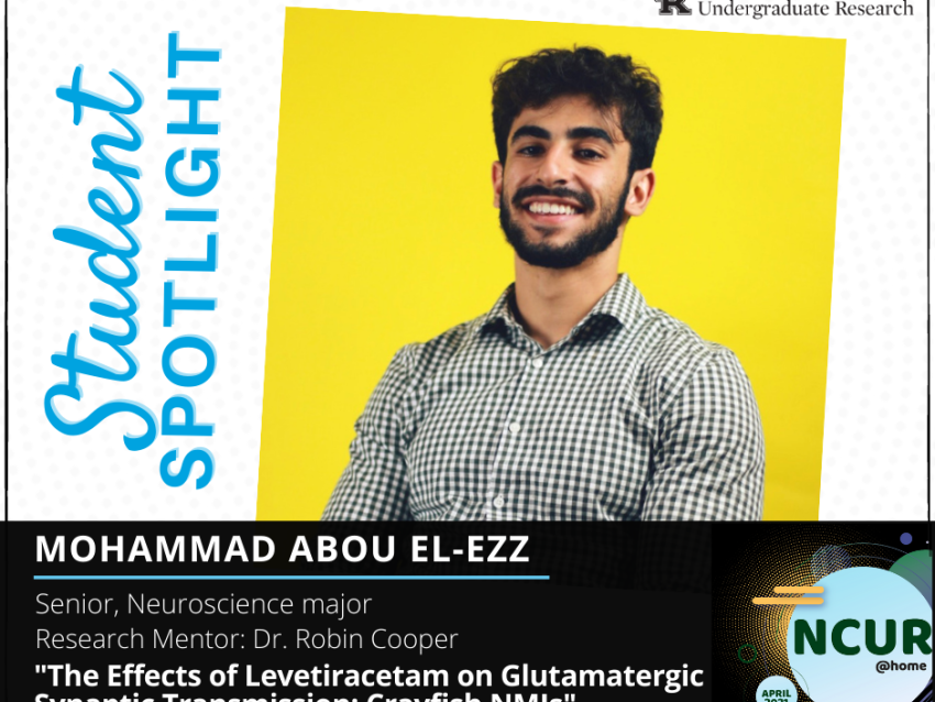 Mohammad Abou El-Ezz NCUR Spotlight