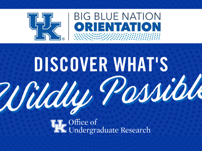 BBN Orientation OUR.png