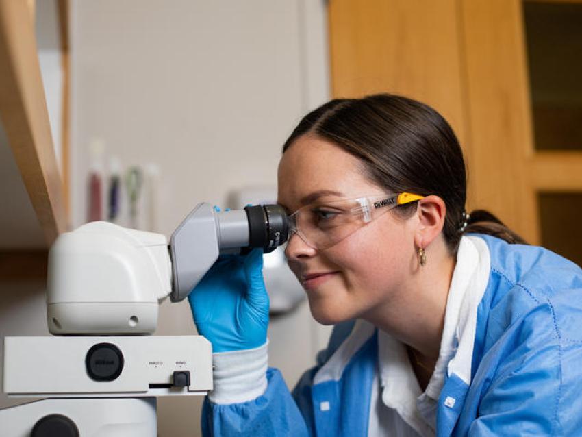 UK undergraduate Hollie Clifton is gaining hands-on research experience in the lab in UK's STEPS summer research program.