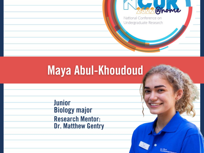 NCUR 2022 Maya Abul-Khoudoud