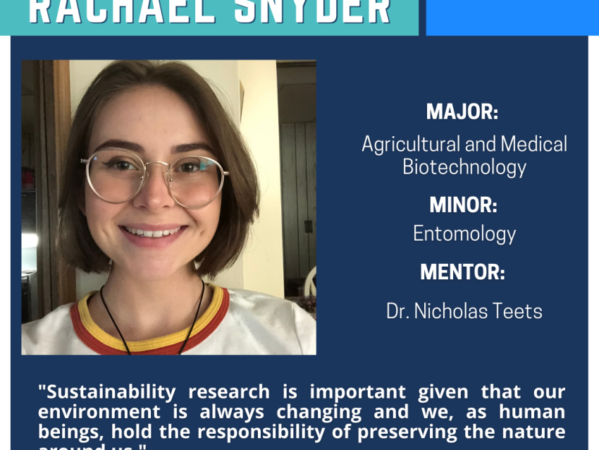 Rachael Snyder