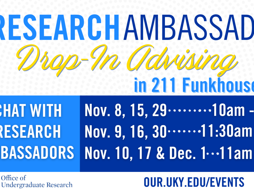 November 2022 drop-in peer advising