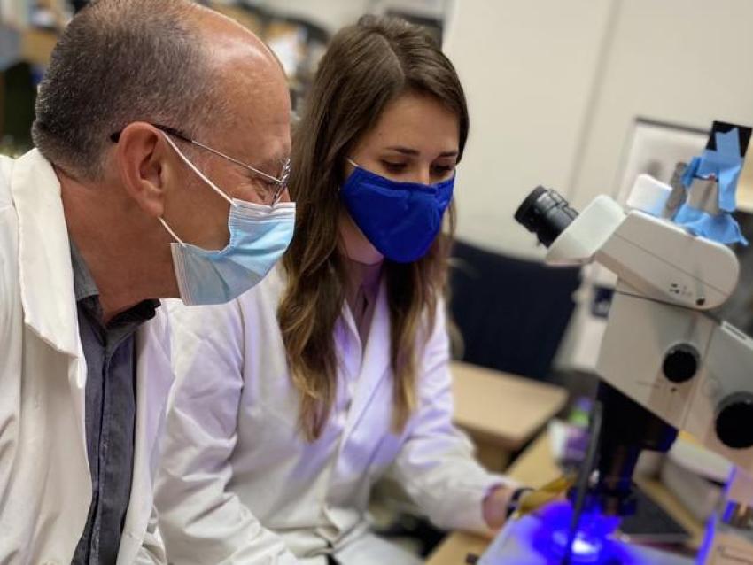 Two undergraduate students will be selected for the UK Beckman Scholars Program and will be supported and mentored in a 15-month independent research project. Photo provided by OUR.