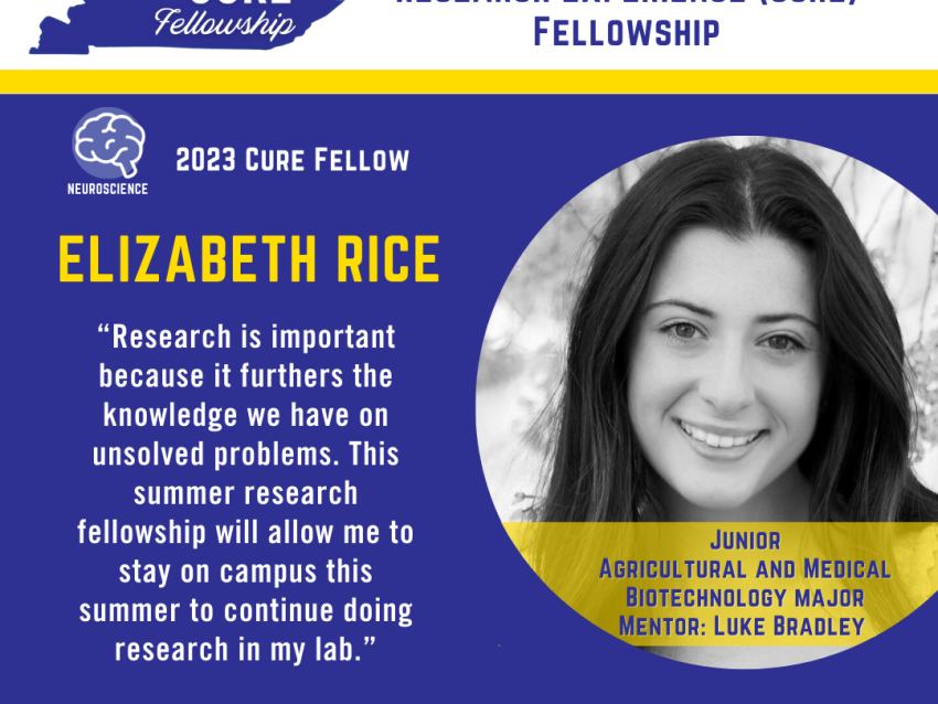 Elizabeth Rice 2023 CURE Fellow