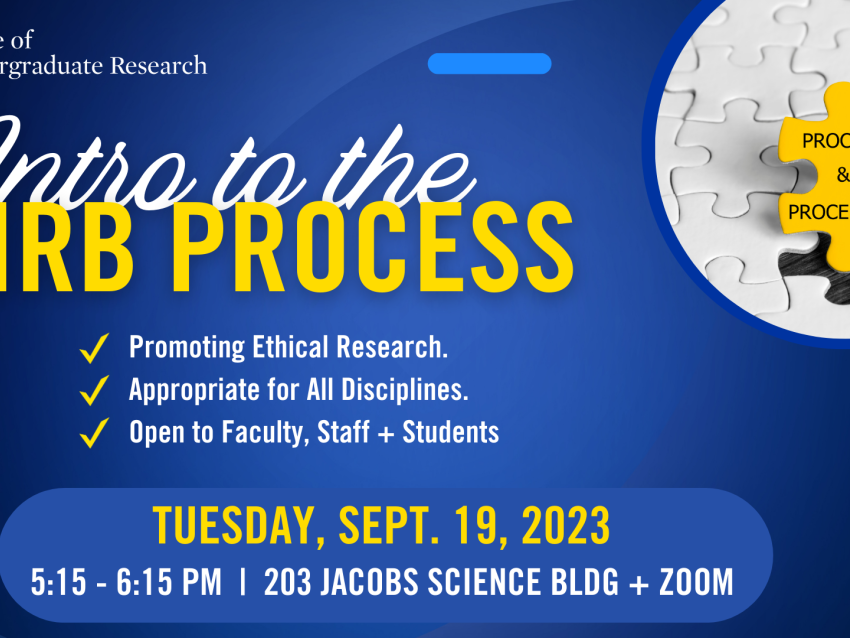 Workshop Intro to the IRB Process