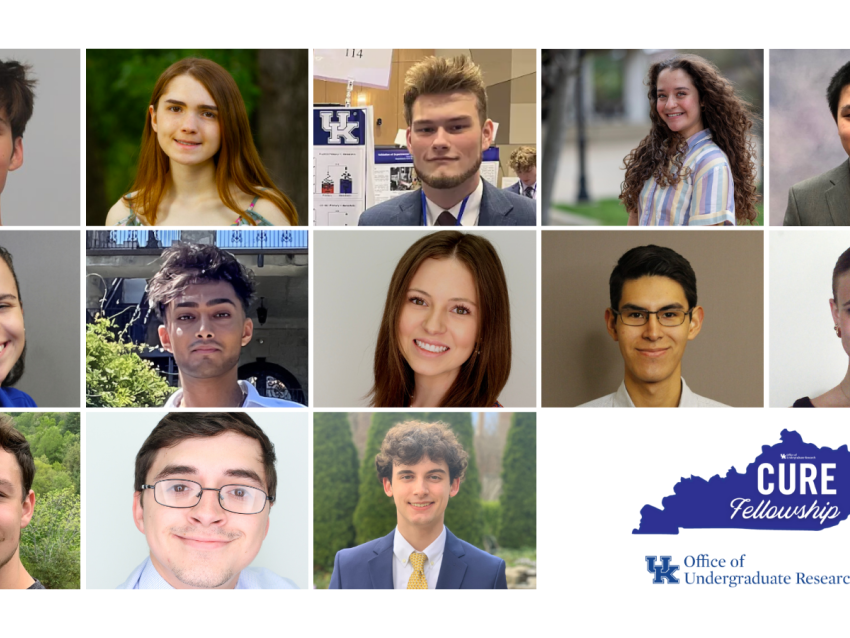 CURE Fellows compilation photo comprised of 13 headshots