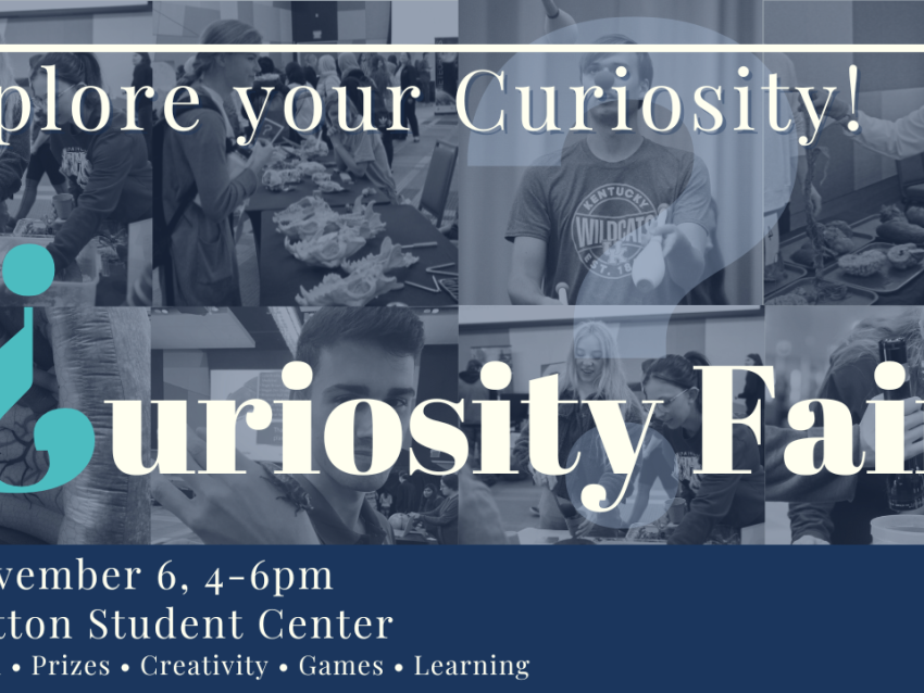 CURIOSITY FAIR