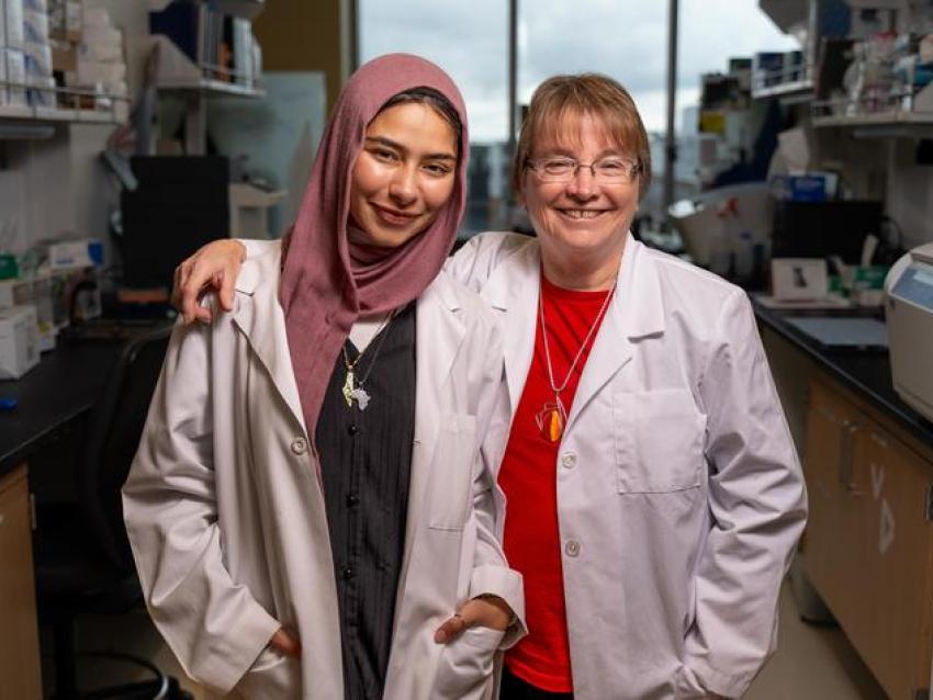 Elaf Ghoneim, left, worked with Linda Van Eldik, director of the Sanders-Brown Center on Aging