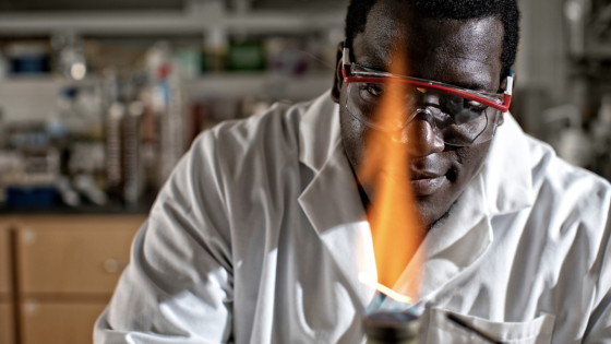 Malik Appleton college of pharmacy undergraduate research