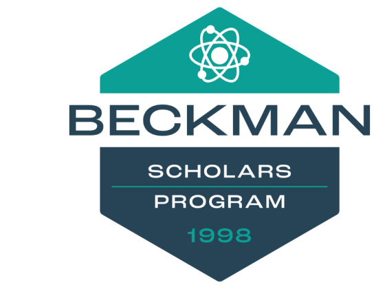 BSP Logo
